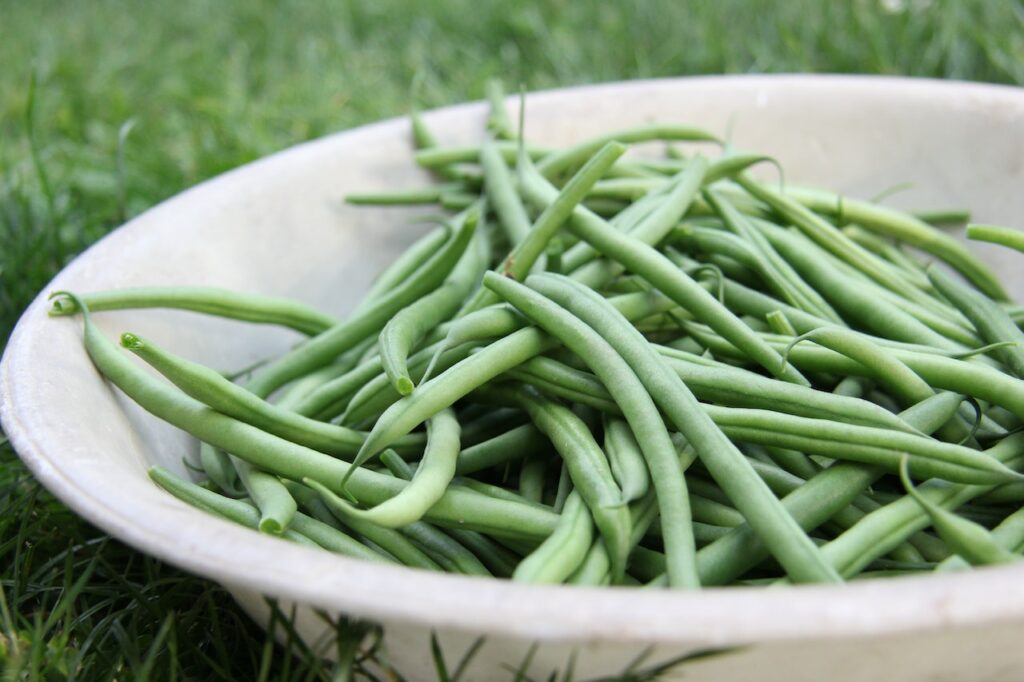 新鲜绿豆放入青草顶端白碗